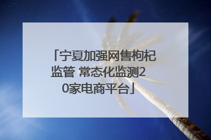 宁夏加强网售枸杞监管 常态化监测20家电商平台